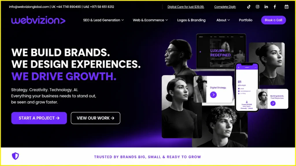 11. Webvizion